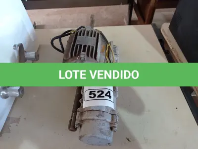 LOTE 524 - 02 MOTORES ELÉTRICOS. (NO ESTADO) ATENÇÃO! FAZER A VISITAÇÃO ANTES DE ARREMATAR, NÃO SABEMOS SE FUNCIONA. LEILÃO NÃO TEM GARANTIA E NEM DEVOLUÇÃO, SUJEITO A POSSÍVEIS AVARIAS VISÍVEIS/OCULTAS E/OU AUSÊNCIA DE COMPONENTES.
