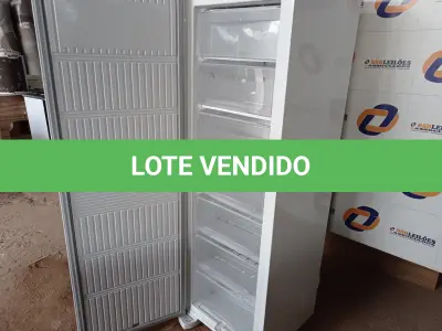 LOTE 038 - 01 FREEZER ELECTROLUX 220V MODELO: FE26. (NO ESTADO) BF8677V