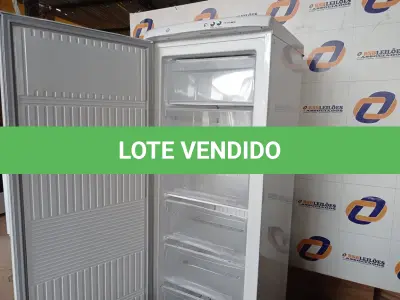 LOTE 038 - 01 FREEZER ELECTROLUX 220V MODELO: FE26. (NO ESTADO) BF8677V