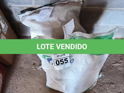 LOTE 055 - 01 LOTE COM CONEXÕES JUNÇÃO 100X75 (NO ESTADO)