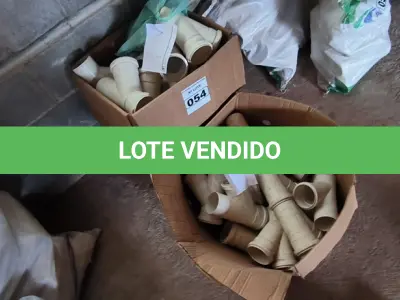 LOTE 054 - 01 LOTE COM CONEXÕES JUNÇÃO Y 100X75 (NO ESTADO)