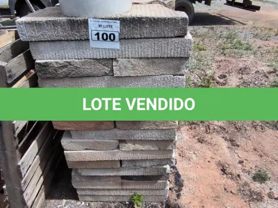 LOTE 100 - 01 LOTE COM PEDRA PUME TAMANHOS DIVERSOS (NO ESTADO)
