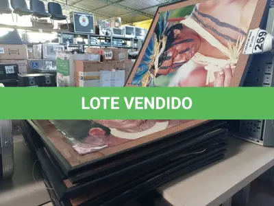 LOTE 269 - 01 LOTE COM VÁRIOS QUADROS DE INDÍGENAS. (NO ESTADO) ATENÇÃO! FAZER A VISITAÇÃO ANTES DE ARREMATAR, NÃO SABEMOS SE FUNCIONA. LEILÃO NÃO TEM GARANTIA E NEM DEVOLUÇÃO, SUJEITO A POSSÍVEIS AVARIAS VISÍVEIS/OCULTAS E/OU AUSÊNCIA DE COMPONENTES.