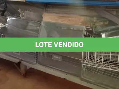 LOTE 426 - 01 LOTE COM GRANDE QUANTIDADE DE GAVETAS E GRADES PARA GELADEIRA E FREEZER. (NO ESTADO) ATENÇÃO! FAZER A VISITAÇÃO ANTES DE ARREMATAR, NÃO SABEMOS SE FUNCIONA. LEILÃO NÃO TEM GARANTIA E NEM DEVOLUÇÃO, SUJEITO A POSSÍVEIS AVARIAS VISÍVEIS/OCULTAS E/OU AUSÊNCIA DE COMPONENTES.