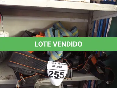 LOTE 255 - 02 CINTOS DE SEGURANÇA. (NO ESTADO) ATENÇÃO! FAZER A VISITAÇÃO ANTES DE ARREMATAR, NÃO SABEMOS SE FUNCIONA. LEILÃO NÃO TEM GARANTIA E NEM DEVOLUÇÃO, SUJEITO A POSSÍVEIS AVARIAS VISÍVEIS/OCULTAS E/OU AUSÊNCIA DE COMPONENTES.