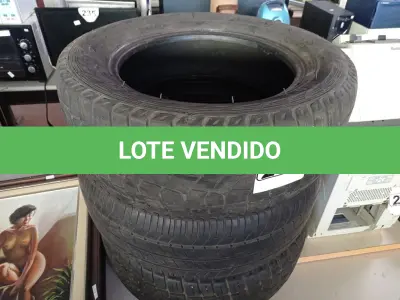 LOTE 264 - 03 PNEUS USADOS, SENDO 02 205/60 ARO 15 E 01 PNEU 205/55 ARO 16. (NO ESTADO) ATENÇÃO! FAZER A VISITAÇÃO ANTES DE ARREMATAR, NÃO SABEMOS SE FUNCIONA. LEILÃO NÃO TEM GARANTIA E NEM DEVOLUÇÃO, SUJEITO A POSSÍVEIS AVARIAS VISÍVEIS/OCULTAS E/OU AUSÊNCIA DE COMPONENTES.