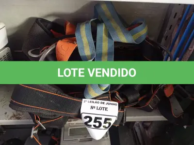 LOTE 255 - 02 CINTOS DE SEGURANÇA. (NO ESTADO) ATENÇÃO! FAZER A VISITAÇÃO ANTES DE ARREMATAR, NÃO SABEMOS SE FUNCIONA. LEILÃO NÃO TEM GARANTIA E NEM DEVOLUÇÃO, SUJEITO A POSSÍVEIS AVARIAS VISÍVEIS/OCULTAS E/OU AUSÊNCIA DE COMPONENTES.