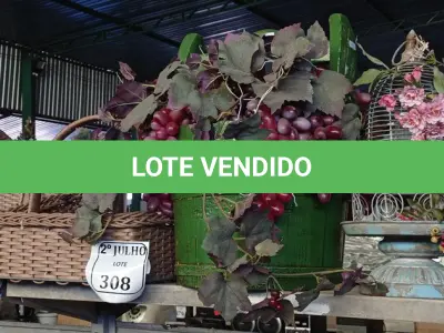 LOTE 308 - 03 CESTOS, 01 BALDE EM MADEIRA COM UVAS PARA DECORAÇÃO (NO ESTADO) ATENÇÃO! FAZER A VISITAÇÃO ANTES DE ARREMATAR, NÃO SABEMOS SE FUNCIONA. LEILÃO NÃO TEM GARANTIA E NEM DEVOLUÇÃO, SUJEITO A POSSÍVEIS AVARIAS VISÍVEIS/OCULTAS E/OU AUSÊNCIA DE COMPONENTES.