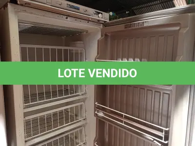 LOTE 412 - 01 FREEZER VERTICAL BRASTEMP 220V (NO ESTADO) ATENÇÃO! FAZER A VISITAÇÃO ANTES DE ARREMATAR, NÃO SABEMOS SE FUNCIONA. LEILÃO NÃO TEM GARANTIA E NEM DEVOLUÇÃO, SUJEITO A POSSÍVEIS AVARIAS VISÍVEIS/OCULTAS E/OU AUSÊNCIA DE COMPONENTES.