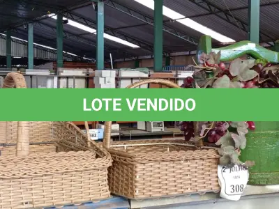 LOTE 308 - 03 CESTOS, 01 BALDE EM MADEIRA COM UVAS PARA DECORAÇÃO (NO ESTADO) ATENÇÃO! FAZER A VISITAÇÃO ANTES DE ARREMATAR, NÃO SABEMOS SE FUNCIONA. LEILÃO NÃO TEM GARANTIA E NEM DEVOLUÇÃO, SUJEITO A POSSÍVEIS AVARIAS VISÍVEIS/OCULTAS E/OU AUSÊNCIA DE COMPONENTES.