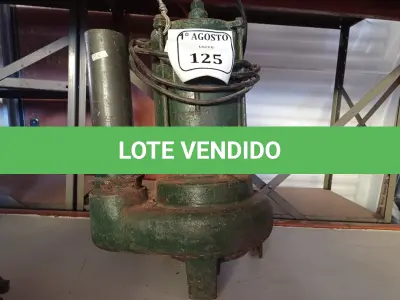 LOTE 125 - 01 BOMBA D’ÁGUA SUBMERSA. (NO ESTADO) ATENÇÃO! FAZER A VISITAÇÃO ANTES DE ARREMATAR, NÃO SABEMOS SE FUNCIONA. LEILÃO NÃO TEM GARANTIA E NEM DEVOLUÇÃO, SUJEITO A POSSÍVEIS AVARIAS VISÍVEIS/OCULTAS E/OU AUSÊNCIA DE COMPONENTES.