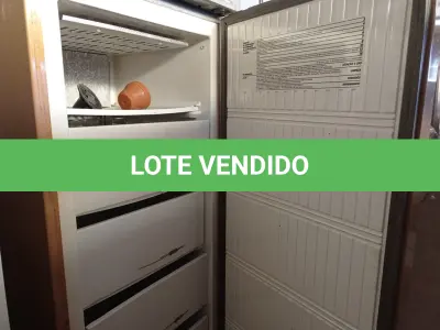 LOTE 457 - 01 FREEZER VERTICAL PROSDÓCIMO.  (NO ESTADO) ATENÇÃO! FAZER A VISITAÇÃO ANTES DE ARREMATAR, NÃO SABEMOS SE FUNCIONA. LEILÃO NÃO TEM GARANTIA E NEM DEVOLUÇÃO, SUJEITO A POSSÍVEIS AVARIAS VISÍVEIS/OCULTAS E/OU AUSÊNCIA DE COMPONENTES.