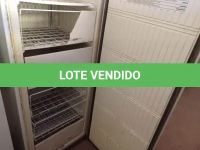 LOTE 458 - 01 FREEZER VERTICAL PROSDÓCIMO.  (NO ESTADO) ATENÇÃO! FAZER A VISITAÇÃO ANTES DE ARREMATAR, NÃO SABEMOS SE FUNCIONA. LEILÃO NÃO TEM GARANTIA E NEM DEVOLUÇÃO, SUJEITO A POSSÍVEIS AVARIAS VISÍVEIS/OCULTAS E/OU AUSÊNCIA DE COMPONENTES.