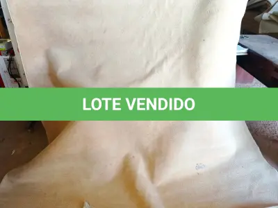 LOTE 280 - 01 TAPETE (RUG). (NO ESTADO EM QUE SE ENCONTRA. SUJEITO A AVARIAS OCULTAS/VISÍVEIS.) AV9543E