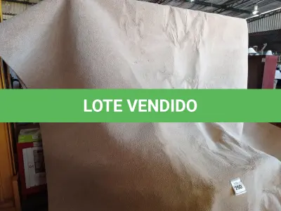 LOTE 250 - 01 TAPETE (RUG). (NO ESTADO EM QUE SE ENCONTRA. SUJEITO A AVARIAS OCULTAS/VISÍVEIS.) BF8582H