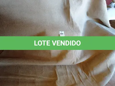 LOTE 303 - 01 TAPETE (RUG). (NO ESTADO EM QUE SE ENCONTRA. SUJEITO A AVARIAS OCULTAS/VISÍVEIS.) AV9617T