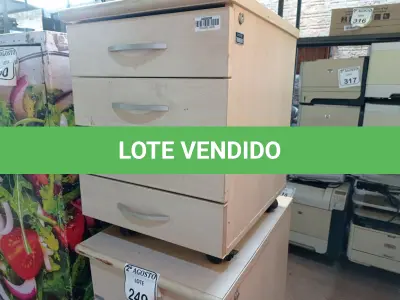 LOTE 249 - 02 GAVETEIROS COM 04 GAVETAS CADA. (NO ESTADO) ATENÇÃO! FAZER A VISITAÇÃO ANTES DE ARREMATAR, NÃO SABEMOS SE FUNCIONA. LEILÃO NÃO TEM GARANTIA E NEM DEVOLUÇÃO, SUJEITO A POSSÍVEIS AVARIAS VISÍVEIS/OCULTAS E/OU AUSÊNCIA DE COMPONENTES.