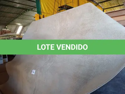 LOTE 310 - 01 TAPETE (RUG). (NO ESTADO EM QUE SE ENCONTRA. SUJEITO A AVARIAS OCULTAS/VISÍVEIS.) BH1643M
