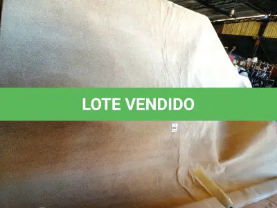 LOTE 310 - 01 TAPETE (RUG). (NO ESTADO EM QUE SE ENCONTRA. SUJEITO A AVARIAS OCULTAS/VISÍVEIS.) BH1643M