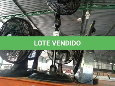 LOTE 049 - 05 VENTILADORES MARCAS E MODELOS DIVERSOS. (NO ESTADO) ATENÇÃO! FAZER A VISITAÇÃO ANTES DE ARREMATAR, NÃO SABEMOS SE FUNCIONA. LEILÃO NÃO TEM GARANTIA E NEM DEVOLUÇÃO, SUJEITO A POSSÍVEIS AVARIAS VISÍVEIS/OCULTAS E/OU AUSÊNCIA DE COMPONENTES.