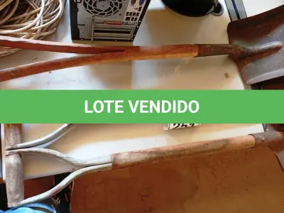 LOTE 251 - 03 PÁS DIVERSAS. (NO ESTADO) ATENÇÃO! FAZER A VISITAÇÃO ANTES DE ARREMATAR, NÃO SABEMOS SE FUNCIONA. LEILÃO NÃO TEM GARANTIA E NEM DEVOLUÇÃO, SUJEITO A POSSÍVEIS AVARIAS VISÍVEIS/OCULTAS E/OU AUSÊNCIA DE COMPONENTES.