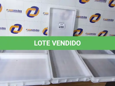 LOTE 230 - 06 CAIXAS ORGANIZADORAS EM PLÁSTICO. (NO ESTADO) ATENÇÃO! FAZER A VISITAÇÃO ANTES DE ARREMATAR, NÃO SABEMOS SE FUNCIONA. LEILÃO NÃO TEM GARANTIA E NEM DEVOLUÇÃO, SUJEITO A POSSÍVEIS AVARIAS VISÍVEIS/OCULTAS E/OU AUSÊNCIA DE COMPONENTES.