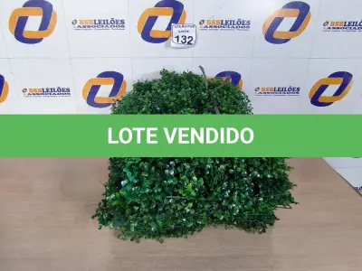 LOTE 132 - 01 LOTE C/PLANTAS ARTIFICIAIS. (NO ESTADO) ATENÇÃO! FAZER A VISITAÇÃO ANTES DE ARREMATAR, NÃO SABEMOS SE FUNCIONA. LEILÃO NÃO TEM GARANTIA E NEM DEVOLUÇÃO, SUJEITO A POSSÍVEIS AVARIAS VISÍVEIS/OCULTAS E/OU AUSÊNCIA DE COMPONENTES.