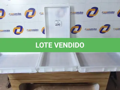 LOTE 230 - 06 CAIXAS ORGANIZADORAS EM PLÁSTICO. (NO ESTADO) ATENÇÃO! FAZER A VISITAÇÃO ANTES DE ARREMATAR, NÃO SABEMOS SE FUNCIONA. LEILÃO NÃO TEM GARANTIA E NEM DEVOLUÇÃO, SUJEITO A POSSÍVEIS AVARIAS VISÍVEIS/OCULTAS E/OU AUSÊNCIA DE COMPONENTES.