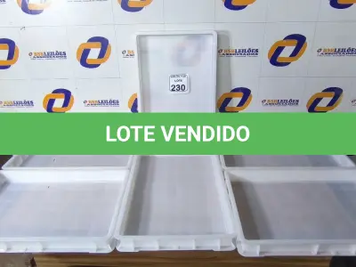 LOTE 230 - 06 CAIXAS ORGANIZADORAS EM PLÁSTICO. (NO ESTADO) ATENÇÃO! FAZER A VISITAÇÃO ANTES DE ARREMATAR, NÃO SABEMOS SE FUNCIONA. LEILÃO NÃO TEM GARANTIA E NEM DEVOLUÇÃO, SUJEITO A POSSÍVEIS AVARIAS VISÍVEIS/OCULTAS E/OU AUSÊNCIA DE COMPONENTES.