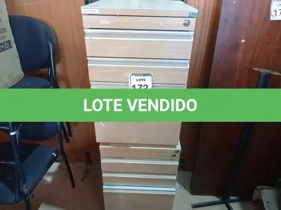 LOTE 172 - 02 GAVETEIROS EM MADEIRA. (NO ESTADO) ATENÇÃO! FAZER A VISITAÇÃO ANTES DE ARREMATAR, NÃO SABEMOS SE FUNCIONA. LEILÃO NÃO TEM GARANTIA E NEM DEVOLUÇÃO, SUJEITO A POSSÍVEIS AVARIAS VISÍVEIS/OCULTAS E/OU AUSÊNCIA DE COMPONENTES.