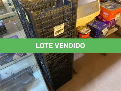 LOTE 250 - 10 CESTAS ORGANIZADORAS. (NO ESTADO) ATENÇÃO! FAZER A VISITAÇÃO ANTES DE ARREMATAR, NÃO SABEMOS SE FUNCIONA. LEILÃO NÃO TEM GARANTIA E NEM DEVOLUÇÃO, SUJEITO A POSSÍVEIS AVARIAS VISÍVEIS/OCULTAS E/OU AUSÊNCIA DE COMPONENTES.
