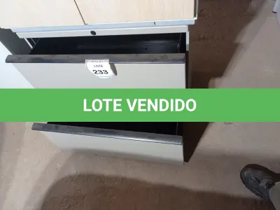 LOTE 233 - 01 GAVETEIRO DE FERRO C/ 02 GAVETAS (IRON DRAWER). (NO ESTADO EM QUE SE ENCONTRA. SUJEITO A AVARIAS OCULTAS/VISÍVEIS.)