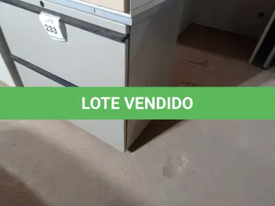 LOTE 233 - 01 GAVETEIRO DE FERRO C/ 02 GAVETAS (IRON DRAWER). (NO ESTADO EM QUE SE ENCONTRA. SUJEITO A AVARIAS OCULTAS/VISÍVEIS.)