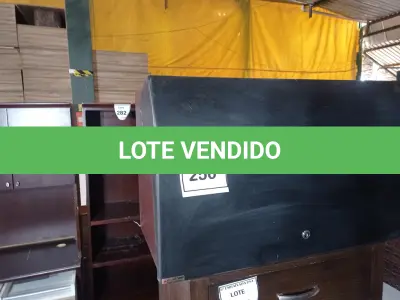 LOTE 256 - 01 ARMÁRIO SUSPENSO (HANGING CABINET). (NO ESTADO EM QUE SE ENCONTRA. SUJEITO A AVARIAS OCULTAS/VISÍVEIS.)