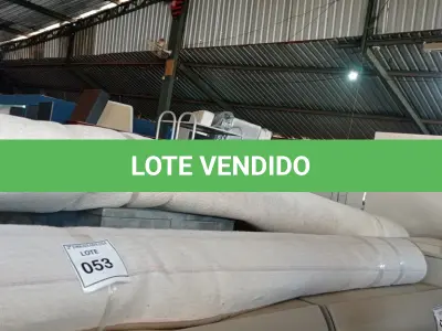 LOTE 053 - 01 RUG (TAPETE). (NO ESTADO EM QUE SE ENCONTRA. SUJEITO A AVARIAS OCULTAS/VISÍVEIS.) BJ7188E