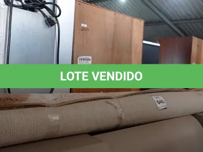 LOTE 045 - 01 RUG (TAPETE). (NO ESTADO EM QUE SE ENCONTRA. SUJEITO A AVARIAS OCULTAS/VISÍVEIS.) BJ7393E