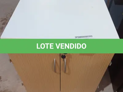 LOTE 468 - 01 ARMÁRIO BAIXO DE 02 PORTAS MADEIRA CLARA. (NO ESTADO EM QUE SE ENCONTRA. SUJEITO A AVARIAS OCULTAS/VISÍVEIS.)