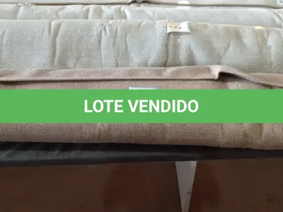 LOTE 178 - 01 RUG (TAPETE).  (NO ESTADO EM QUE SE ENCONTRA. SUJEITO A AVARIAS OCULTAS/VISÍVEIS.) AU2485M
