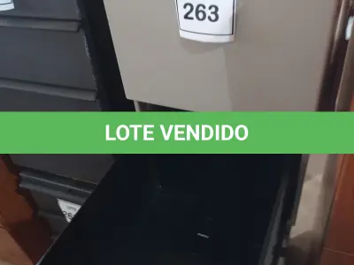 LOTE 263 - 01 GAVETEIRO EM AÇO 02 GAVETAS. (NO ESTADO EM QUE SE ENCONTRA. SUJEITO A AVARIAS OCULTAS/VISÍVEIS.)