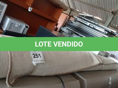 LOTE 251 - 01 RUG (TAPETE). (NO ESTADO EM QUE SE ENCONTRA. SUJEITO A AVARIAS OCULTAS/VISÍVEIS.) AV9514M
