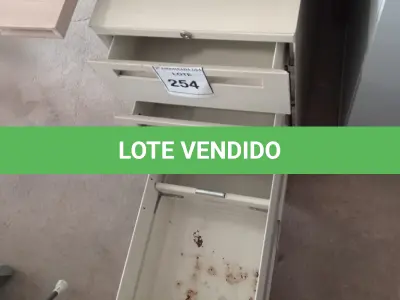 LOTE 254 - 01 GAVETEIRO EM AÇO 03 GAVETAS. (NO ESTADO EM QUE SE ENCONTRA. SUJEITO A AVARIAS OCULTAS/VISÍVEIS.)
