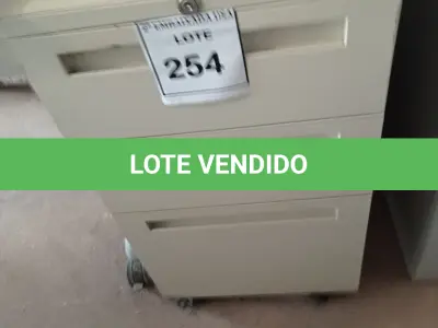 LOTE 254 - 01 GAVETEIRO EM AÇO 03 GAVETAS. (NO ESTADO EM QUE SE ENCONTRA. SUJEITO A AVARIAS OCULTAS/VISÍVEIS.)