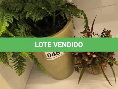 LOTE 046 -  02 PLANTAS DECORATIVAS. (NO ESTADO) ATENÇÃO! FAZER A VISITAÇÃO ANTES DE ARREMATAR, NÃO SABEMOS SE FUNCIONA. LEILÃO NÃO TEM GARANTIA E NEM DEVOLUÇÃO, SUJEITO A POSSÍVEIS AVARIAS VISÍVEIS/OCULTAS E/OU AUSÊNCIA DE COMPONENTES.
