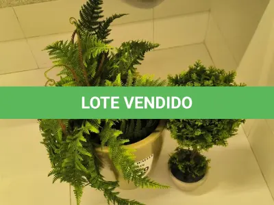 LOTE 059 - 02 PLANTAS DECORATIVAS. (NO ESTADO) ATENÇÃO! FAZER A VISITAÇÃO ANTES DE ARREMATAR, NÃO SABEMOS SE FUNCIONA. LEILÃO NÃO TEM GARANTIA E NEM DEVOLUÇÃO, SUJEITO A POSSÍVEIS AVARIAS VISÍVEIS/OCULTAS E/OU AUSÊNCIA DE COMPONENTES.
