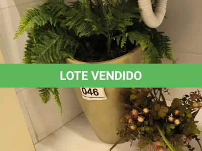 LOTE 046 -  02 PLANTAS DECORATIVAS. (NO ESTADO) ATENÇÃO! FAZER A VISITAÇÃO ANTES DE ARREMATAR, NÃO SABEMOS SE FUNCIONA. LEILÃO NÃO TEM GARANTIA E NEM DEVOLUÇÃO, SUJEITO A POSSÍVEIS AVARIAS VISÍVEIS/OCULTAS E/OU AUSÊNCIA DE COMPONENTES.