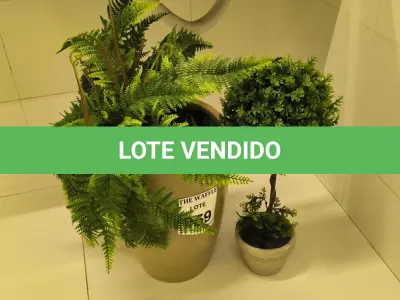 LOTE 059 - 02 PLANTAS DECORATIVAS. (NO ESTADO) ATENÇÃO! FAZER A VISITAÇÃO ANTES DE ARREMATAR, NÃO SABEMOS SE FUNCIONA. LEILÃO NÃO TEM GARANTIA E NEM DEVOLUÇÃO, SUJEITO A POSSÍVEIS AVARIAS VISÍVEIS/OCULTAS E/OU AUSÊNCIA DE COMPONENTES.