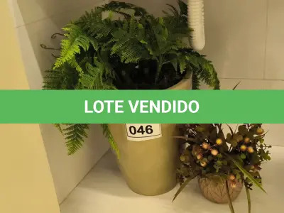 LOTE 046 -  02 PLANTAS DECORATIVAS. (NO ESTADO) ATENÇÃO! FAZER A VISITAÇÃO ANTES DE ARREMATAR, NÃO SABEMOS SE FUNCIONA. LEILÃO NÃO TEM GARANTIA E NEM DEVOLUÇÃO, SUJEITO A POSSÍVEIS AVARIAS VISÍVEIS/OCULTAS E/OU AUSÊNCIA DE COMPONENTES.