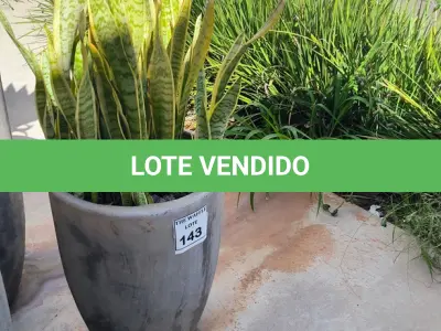 LOTE 142 - 01 JARRO COM PLANTAS VIVAS DECORATIVAS (NO ESTADO) ATENÇÃO! FAZER A VISITAÇÃO ANTES DE ARREMATAR, NÃO SABEMOS SE FUNCIONA. LEILÃO NÃO TEM GARANTIA E NEM DEVOLUÇÃO, SUJEITO A POSSÍVEIS AVARIAS VISÍVEIS/OCULTAS E/OU AUSÊNCIA DE COMPONENTES.