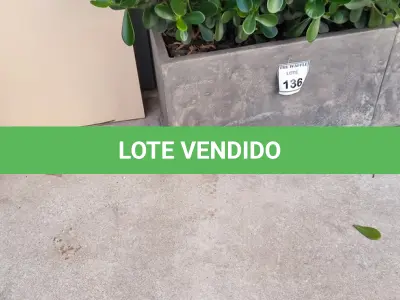 LOTE 136 - 01 JARRO COM PLANTAS VIVAS DECORATIVAS (NO ESTADO) ATENÇÃO! FAZER A VISITAÇÃO ANTES DE ARREMATAR, NÃO SABEMOS SE FUNCIONA. LEILÃO NÃO TEM GARANTIA E NEM DEVOLUÇÃO, SUJEITO A POSSÍVEIS AVARIAS VISÍVEIS/OCULTAS E/OU AUSÊNCIA DE COMPONENTES.