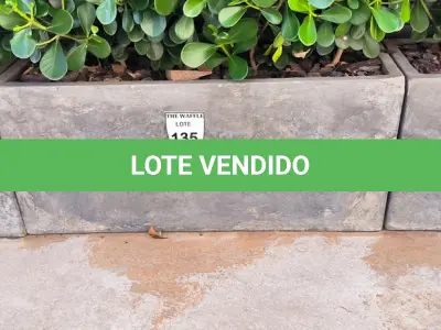 LOTE 135 - 01 JARRO COM PLANTAS VIVAS DECORATIVAS (NO ESTADO) ATENÇÃO! FAZER A VISITAÇÃO ANTES DE ARREMATAR, NÃO SABEMOS SE FUNCIONA. LEILÃO NÃO TEM GARANTIA E NEM DEVOLUÇÃO, SUJEITO A POSSÍVEIS AVARIAS VISÍVEIS/OCULTAS E/OU AUSÊNCIA DE COMPONENTES.